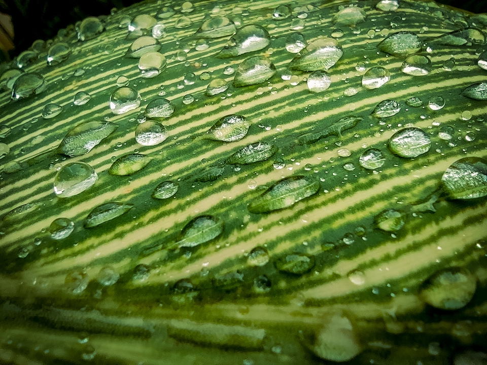 Video Editing - Video editing untuk Youtube (Educationa,Vlog,Gaming,Beauty,etc) - 7