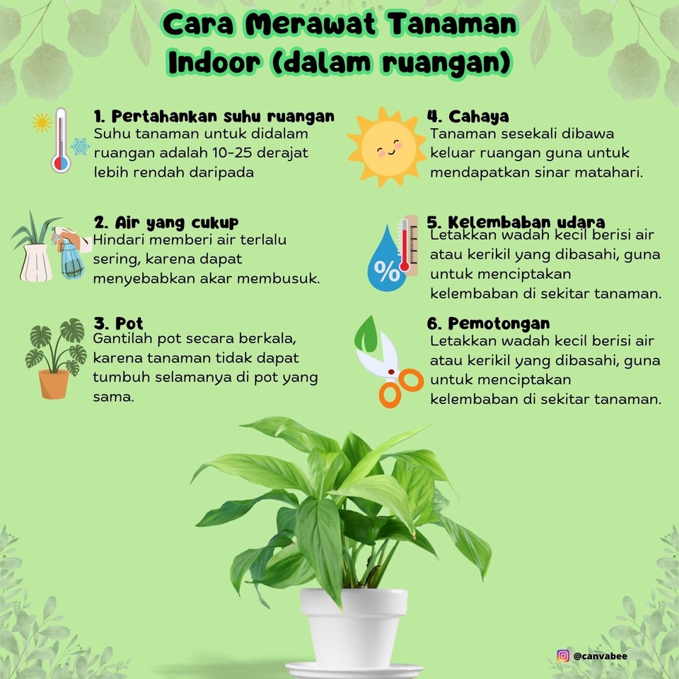 Jasa desain infographic untuk merawat tanaman indoor, harga jasa desain infographic murah, bikin infographic tanaman, buat infografis online, desain infografis data tanaman indoor.