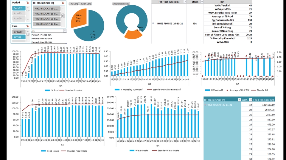 Pengetikan Umum - visualisasi data excel, sesuai request - 1