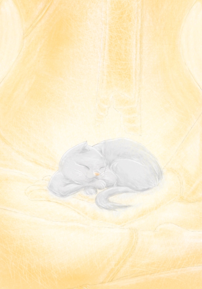 วาดภาพประกอบนิทานแมวนอนหลับ  ภาพประกอบดิจิตอลเพ้นท์