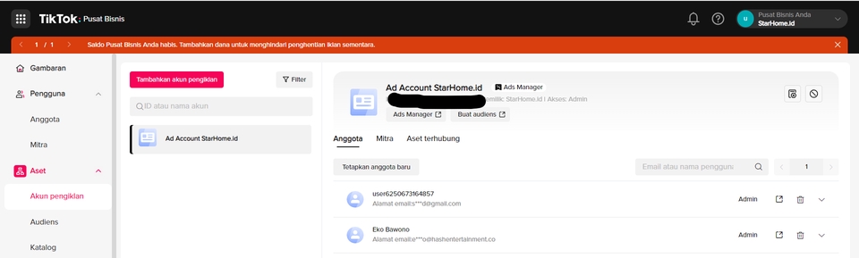 Digital Marketing - Facebook , Tiktok, Google Ads Optimization - 5