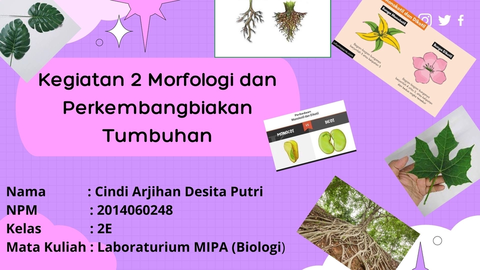 Jasa Lainnya - PPT dan edit sampul modul , 2 hari - 2