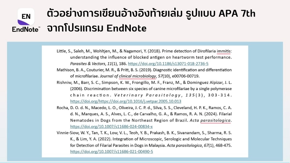 อื่นๆ - รับเขียนและจัดรูปแบบเอกสารอ้างอิง - 4