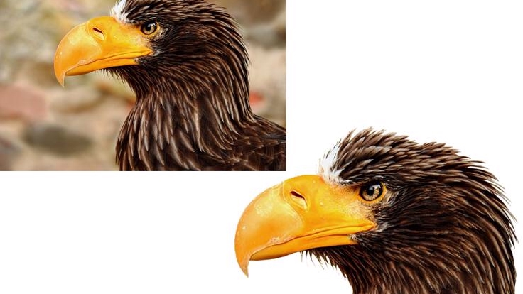 ไดคัท & Photoshop - ไดคัทภาพ ลบภาพพื้นหลัง รีทัชภาพ เปลี่ยนสีวัตถุ - 1