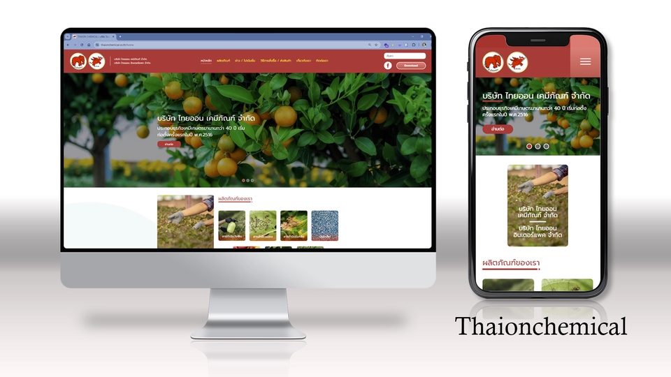 รับทําเว็บไซต์ wordpress พร้อมแสดงผลบนมือถือ, ตัวอย่างเว็บไซต์ wordpress เกี่ยวกับสินค้าเกษตร