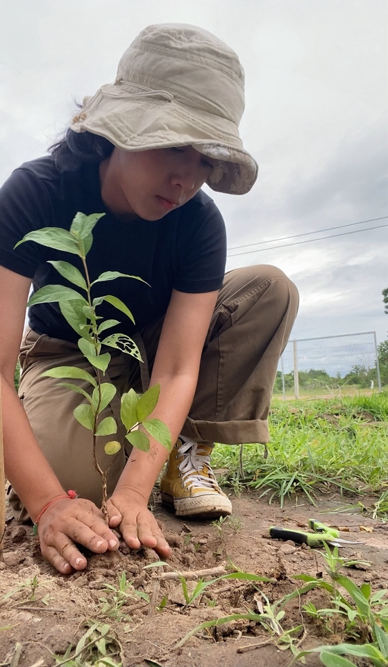 เน็ตไอดอลและบล็อกเกอร์รีวิว - รับรีวิวผลิตภัณฑ์ บริการ หรือโครงการ เกี่ยวกับสิ่งแวดล้อม การเกษตร ปลูกต้นไม้ ยั่งยืน gogreen - 9