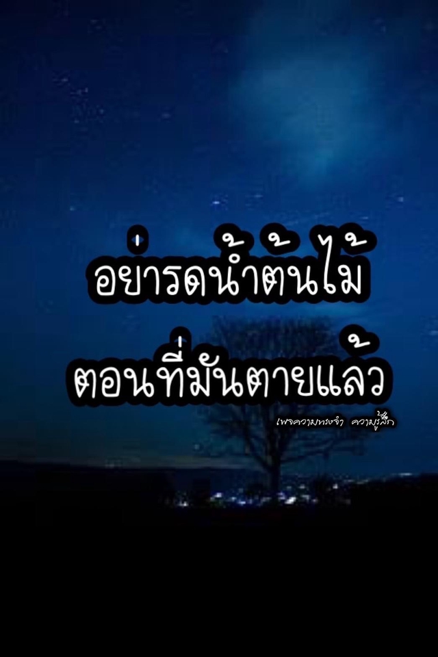 Banner โฆษณา - รับเขียนคำกลอน ข้อความ พร้อมรูปประกอบทุกแนว - 13