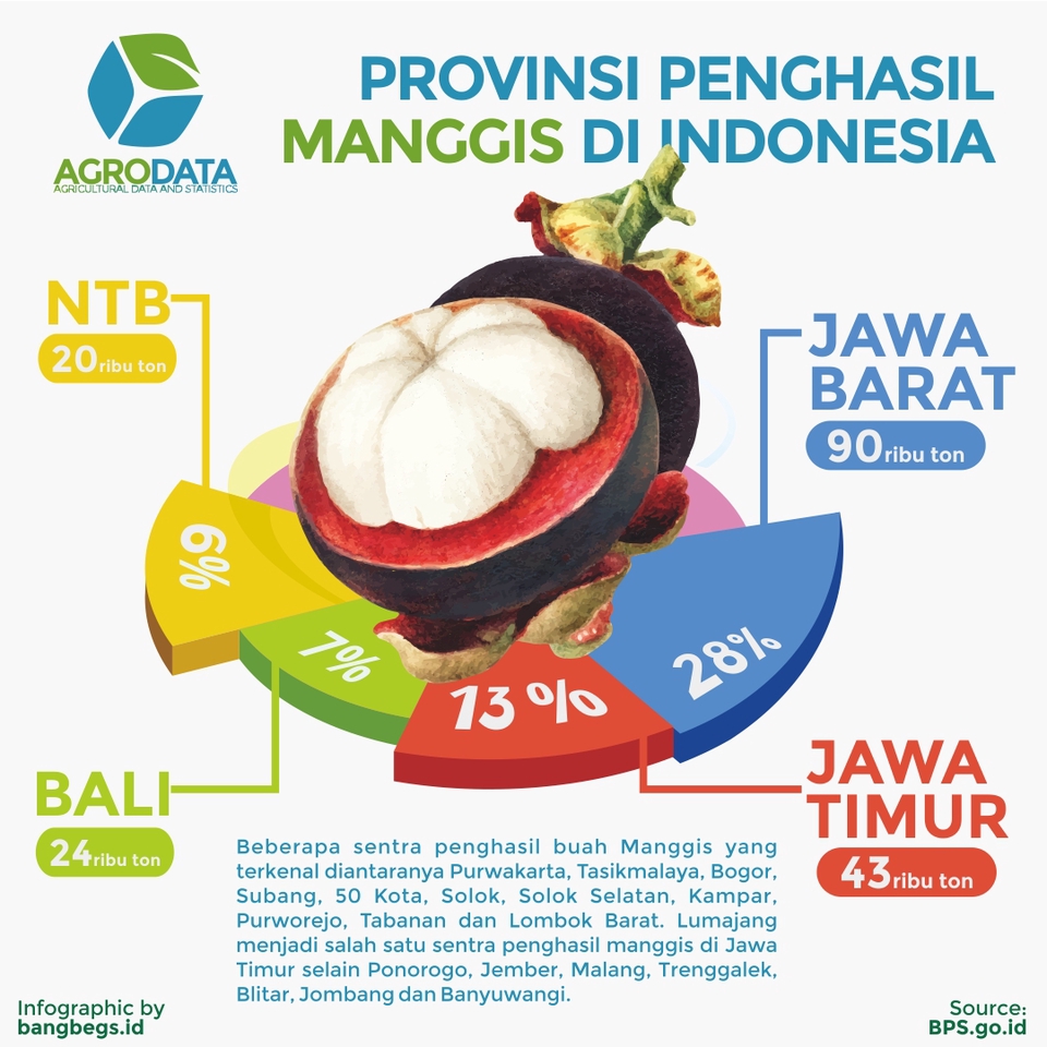 Infografis - Data Bercerita! Desain infografis +bonus copywriting - 25