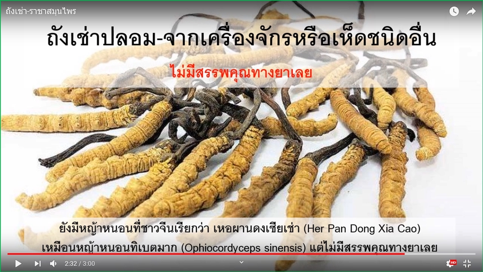 Presentation - Presentaton นำเสนองานวิจัย วิทยานิพนธ์ งานวิชาการ งานอีเวนท์ งานแต่งงาน บริษัท บุคคล หน่วยงาน - 14
