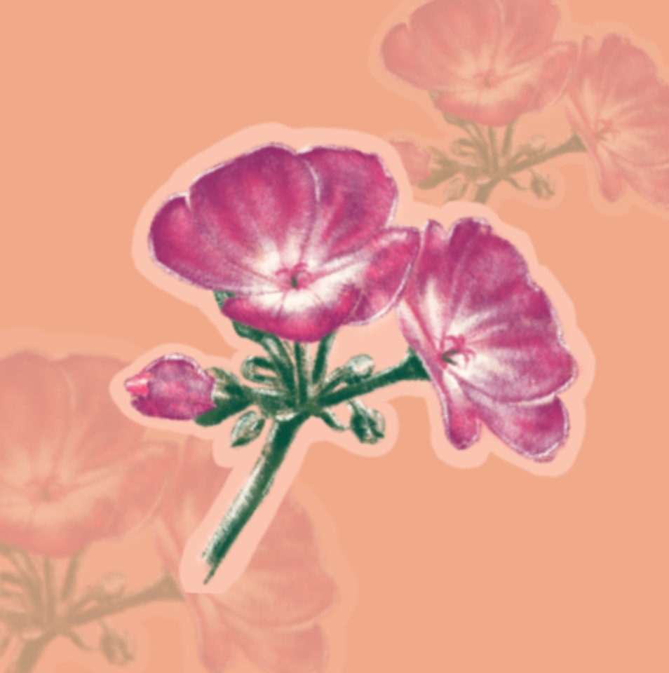 วาดภาพประกอบ - รับวาดภาพประกอบหลากหลายแนว ตามใจคุณลูกค้าเลยงับ - 9