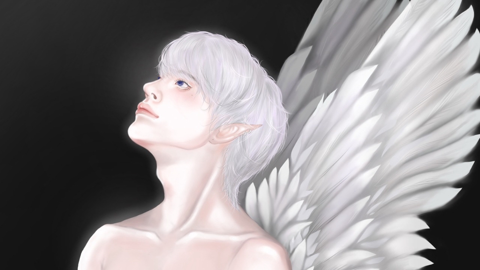 รับวาดรูป ดิจิตอลเพ้นท์ ภาพประกอบ เทวดา ปีกขาว