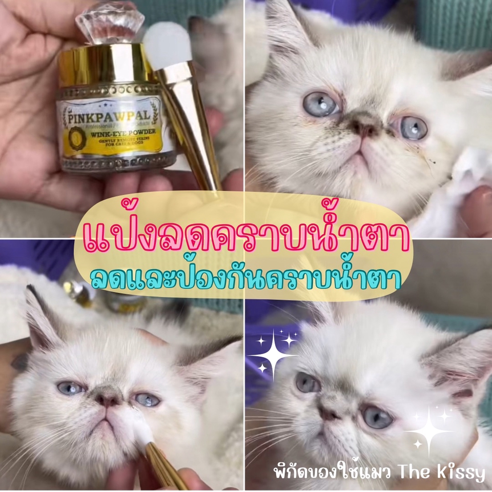 รับรีวิวเครื่องสำอาง รับรีวิวสินค้า บล็อกเกอร์รีวิวเครื่องสำอาง เน็ตไอดอลรีวิว รับรีวิวสินค้าเด็ก รับรีวิวของเล่น