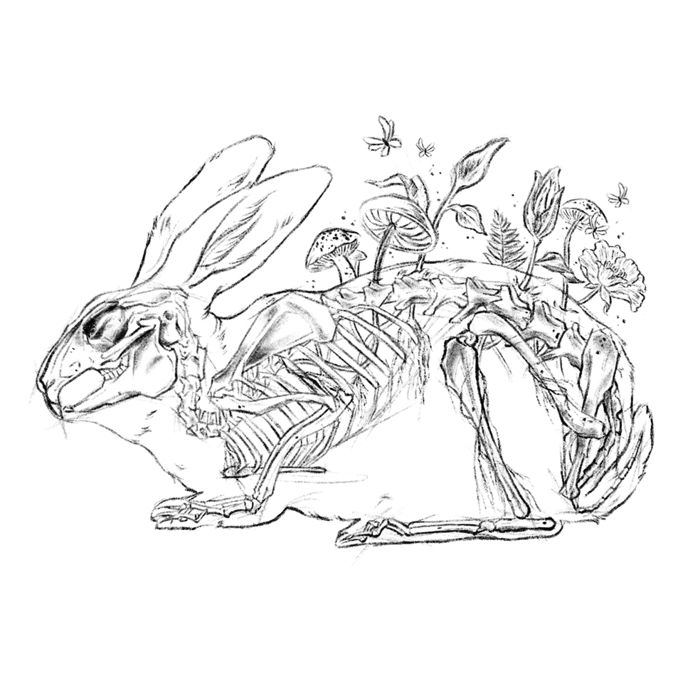 วาดภาพประกอบ - รับวาดภาพประกอบหลากหลายแนว ตามใจคุณลูกค้าเลยงับ - 2