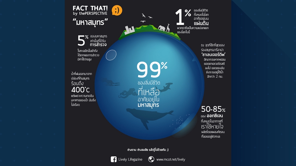 Infographics - Infographic ระดับ PRO ย่อยง่าย คุยง่าย แบบคนโต ๆ กันแล้ว ;) - 5