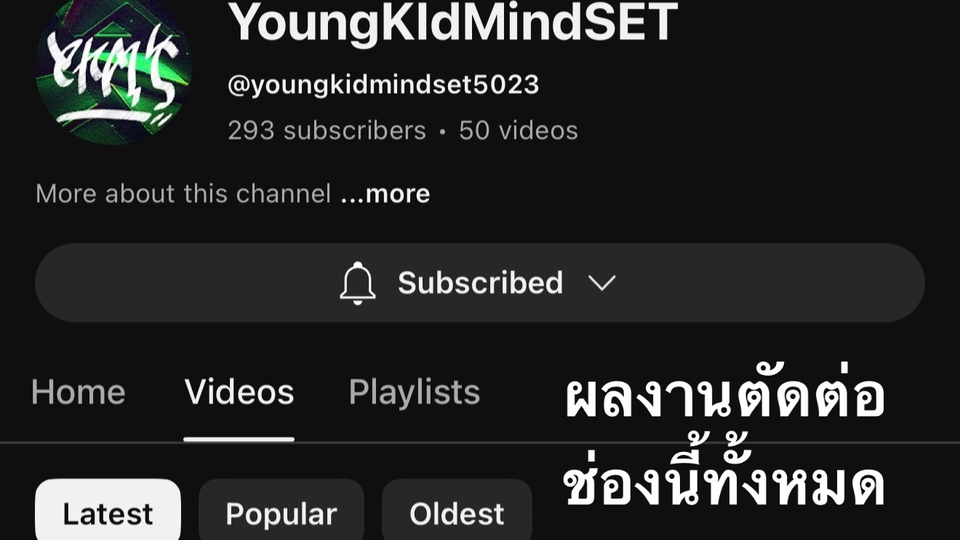 รับทำซับไตเติ้ลไทยมืออาชีพ บริการแปลและทำซับไตเติ้ลคุณภาพสูง