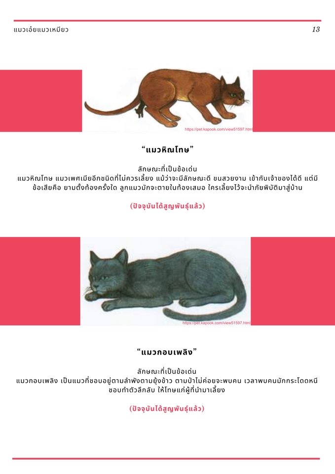 รับพิมพ์งาน รับคีย์ข้อมูล รับทำ excel รับจัดรูปเล่มรายงาน แมวไทย แมวเปอร์เซีย สัตว์เลี้ยง