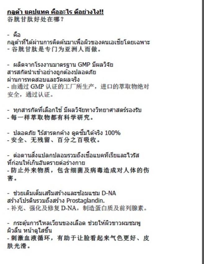 แปลภาษา - รับแปลTH-CH CH-TH - 6