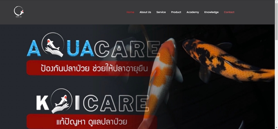 Wordpress - รับทำเว็บไซต์ ด้วย Wordpress - 2