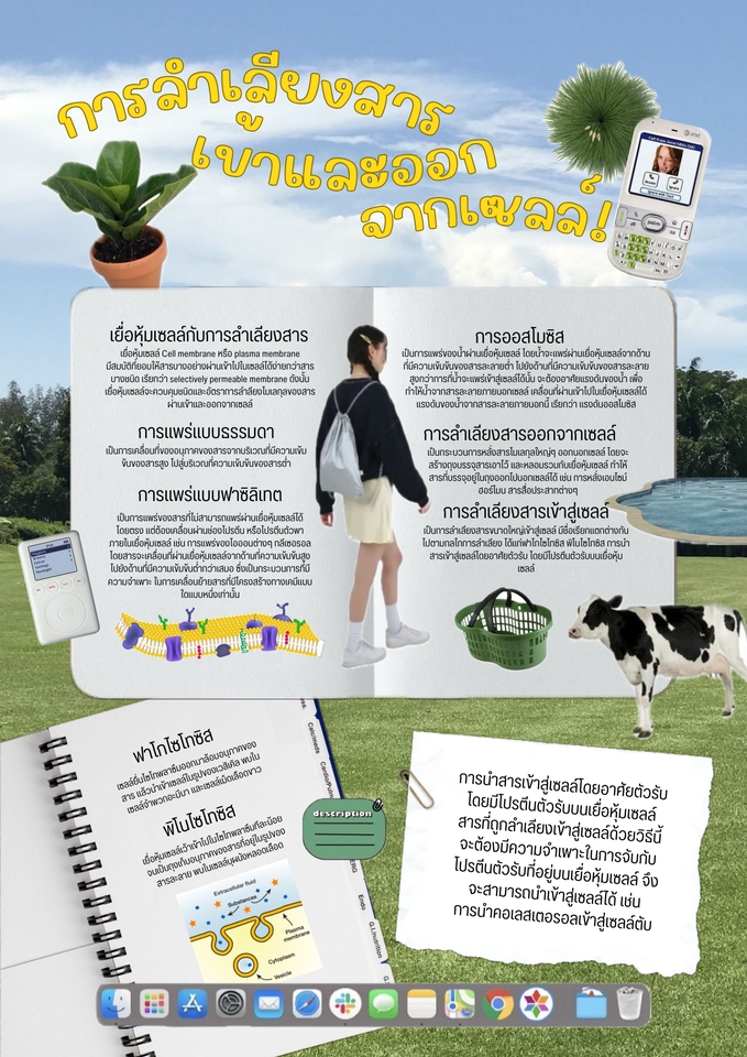 Infographics - Educational infographics - 3