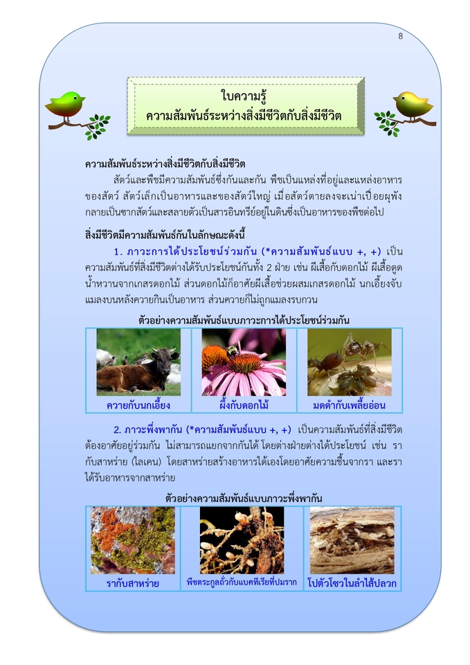 พิมพ์งาน และคีย์ข้อมูล - รับพิมพ์งาน งานวิจัย ผลงานเลื่อนระดับ วิทยานิพนธ์ - 13