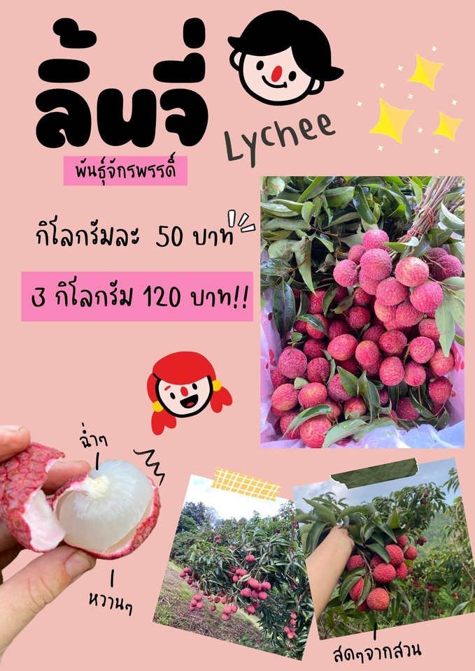 สื่อสิ่งพิมพ์และนามบัตร - รับออกแบบโปรชัวร์ โปสเตอร์ - 4