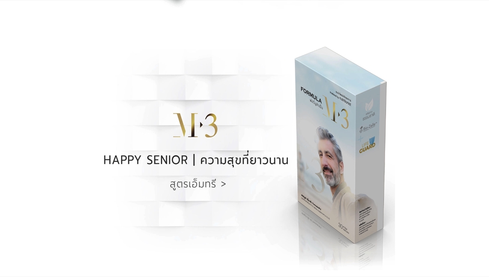Wordpress - รับทําเว็บไซต์ wordpress ราคาถูก รองรับ SEO รองรับ มือถือ แท็บเล็ต 100% - 30