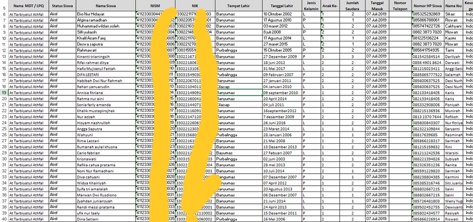Entri Data - Entry Data Profesional - 3