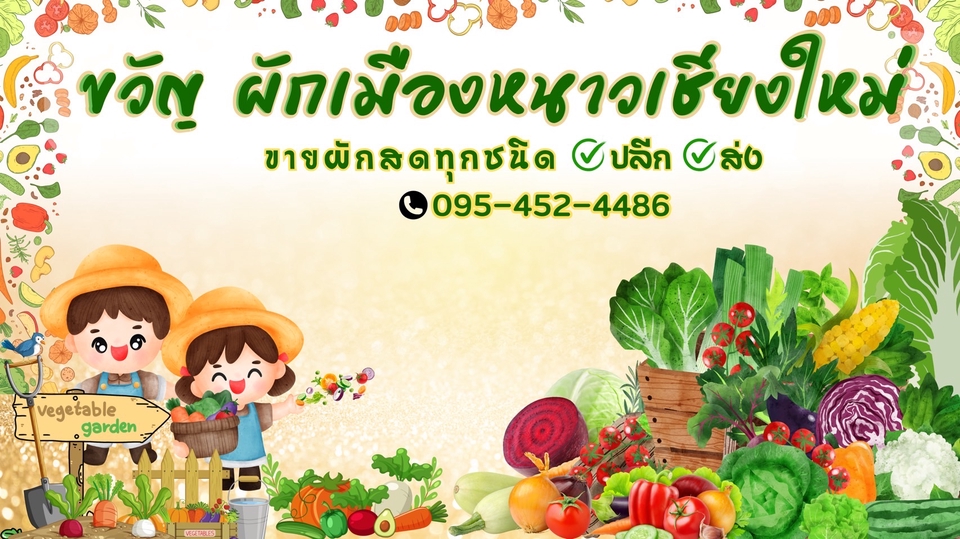Banner โฆษณา - รูป ปกทุกแพรตฟอร์ม, รูปโฆษณาสินค้าออนไลน์ทุกประเภททุกแพลตฟอร์ม - 29