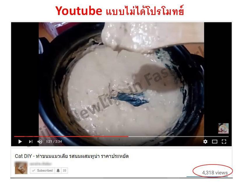 เขียนรีวิว - โฆษณา&รีวิว สินค้า "แมว" เหมือนการบอกต่อ - 5
