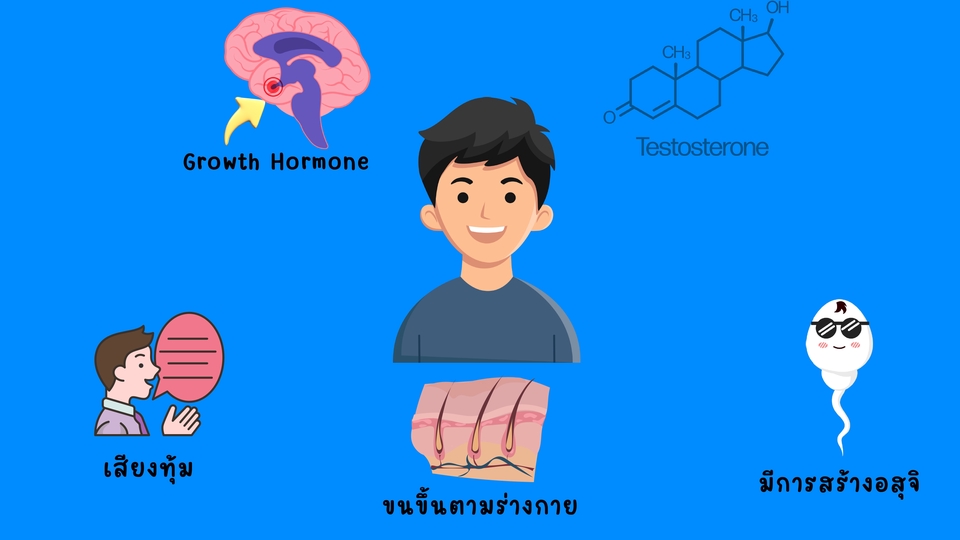 รับทำ presentation ข้อมูลส่วนตัว บริการรับทำพรีเซนเทชั่นข้อมูลส่วนตัว งานอีเวนท์ ผลงานวิชาการ แผนธุรกิจ