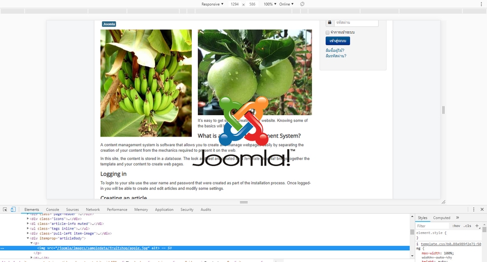 IT Solution และ Support - รับแก้เทมเพลต Joomla แก้ css จัดรูปแบบ Joomla - 3