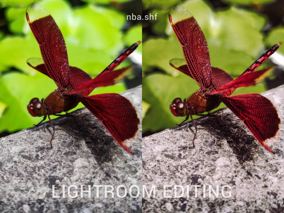 Edit Gambar & Photoshop - EDIT FOTO DI LIGHTROOM - 6