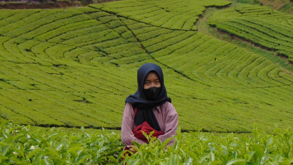 Edit Gambar & Photoshop - jasa edit efek lightroom instan - 3