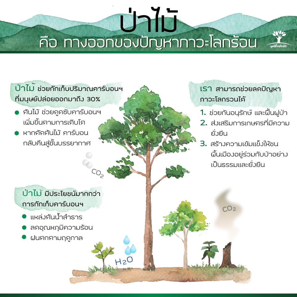 วาดภาพประกอบ - วาดภาพประกอบฟรีสไตล์ - 10