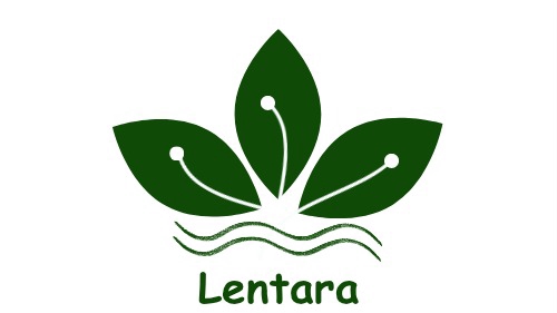 Jasa Desain Banner Instagram, Buat Banner Instagram, Desain Banner Unik, Banner Promosi Instagram