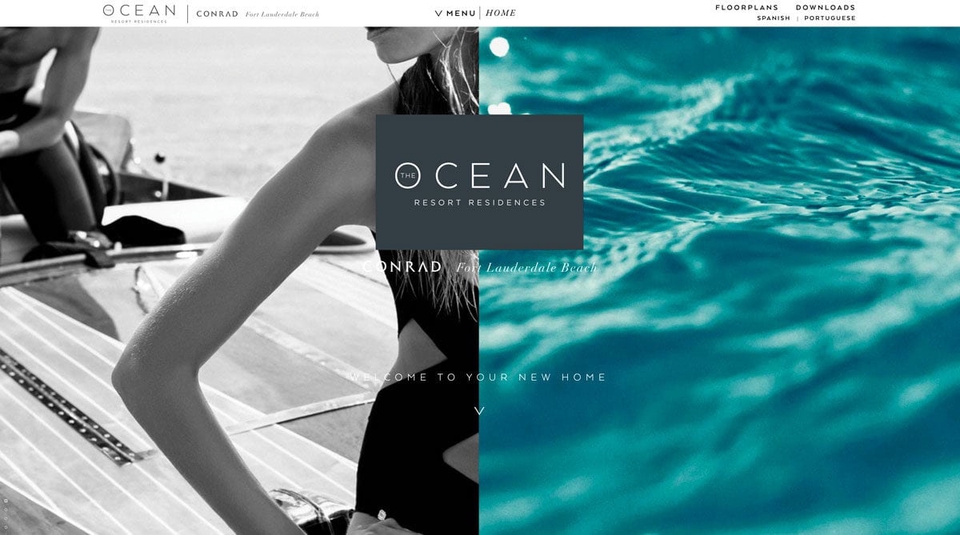 Web Development - Web / Front-end / Back-end / Full-Stack Expert Wordpress,Wix,Shopify,Angular,React,Vue,Node,JS,HTML - 15