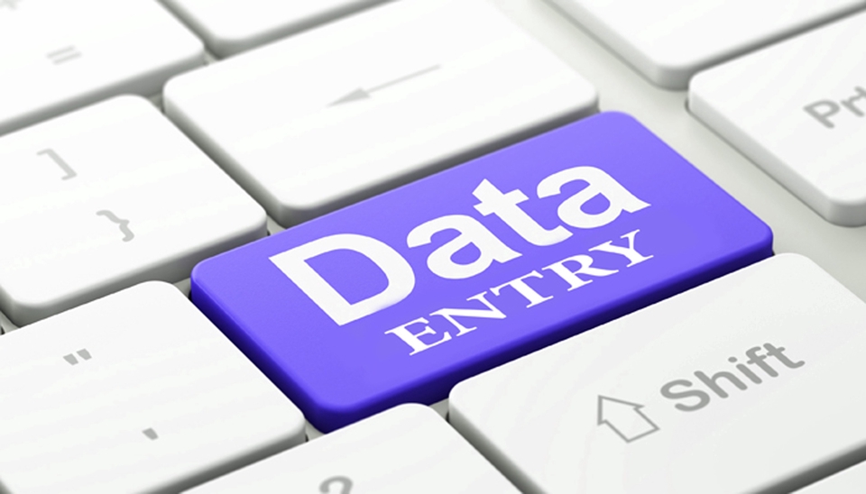 Entri Data -  Data Entry Online - Data Entry/Entry Data, Copy Data ( 1 Hari Jadi) - 4