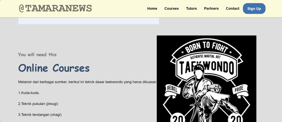 Jasa Desain Website Murah - Gambar ini menunjukkan contoh desain website yang modern dan profesional untuk bisnis online.