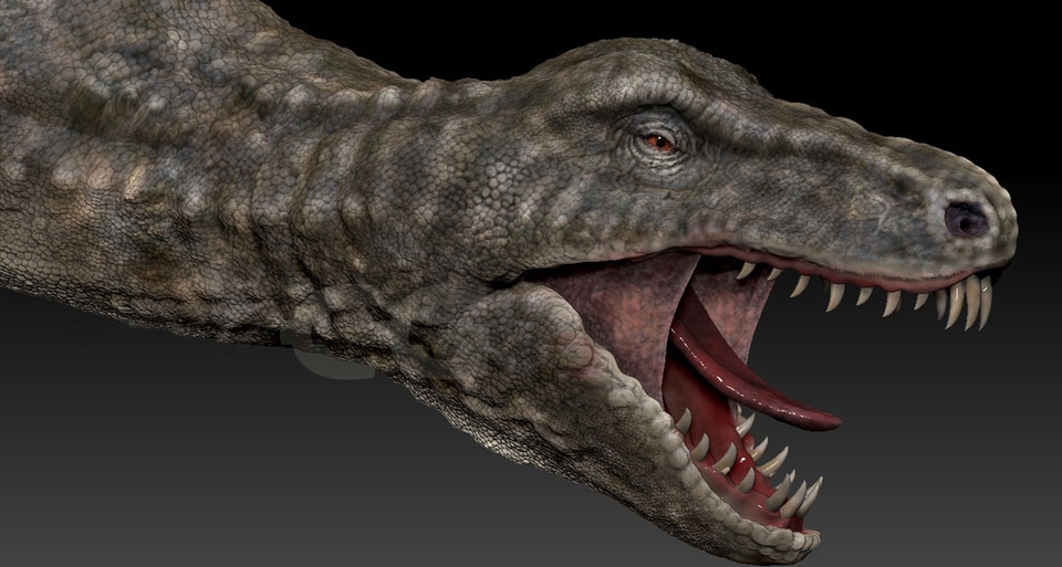 ทำโมเดล 3D - 3D / Product / Character - 8