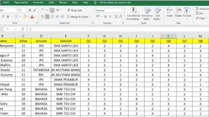 Jasa input data online excel, contoh entri data nilai siswa,  data entry freelance