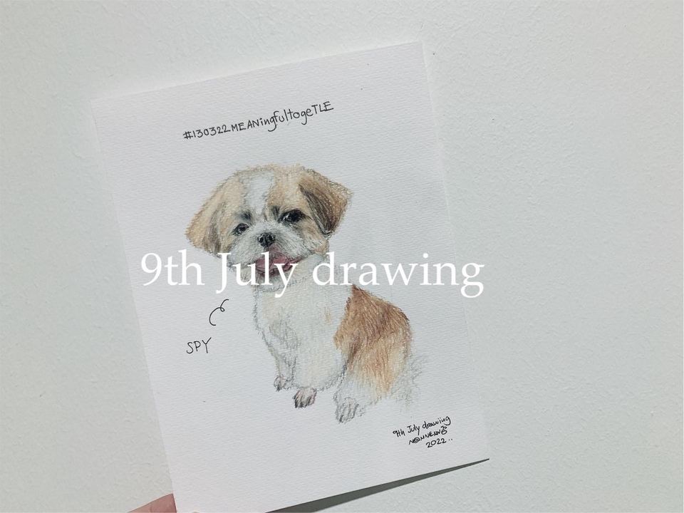 วาดภาพเหมือน Portrait - 9th July drawing : รับวาดภาพเหมือนสัตว์เลี้ยงตามสั่ง ภาพเหมือนสีไม้ - 21