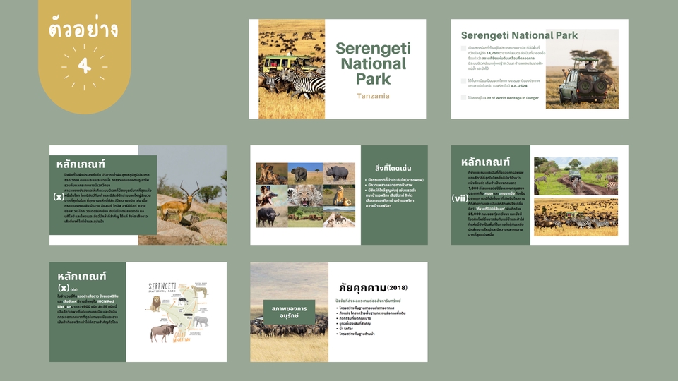 Presentation - รับทำ Presentation ( Powerpoint , Canva ) - 5
