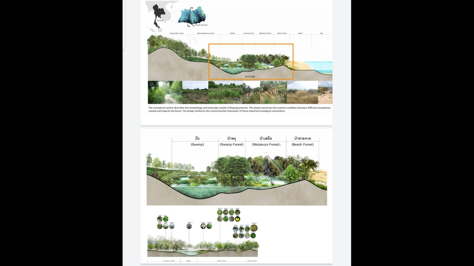ออกแบบภูมิทัศน์และตกแต่งสวน - Landscape Architect งานออกแบบภูมิทัศน์ บ้าน คาเฟ่ รีสอร์ท โรงแรม หมู่บ้านจัดสรร ออกแบบสวน - 6