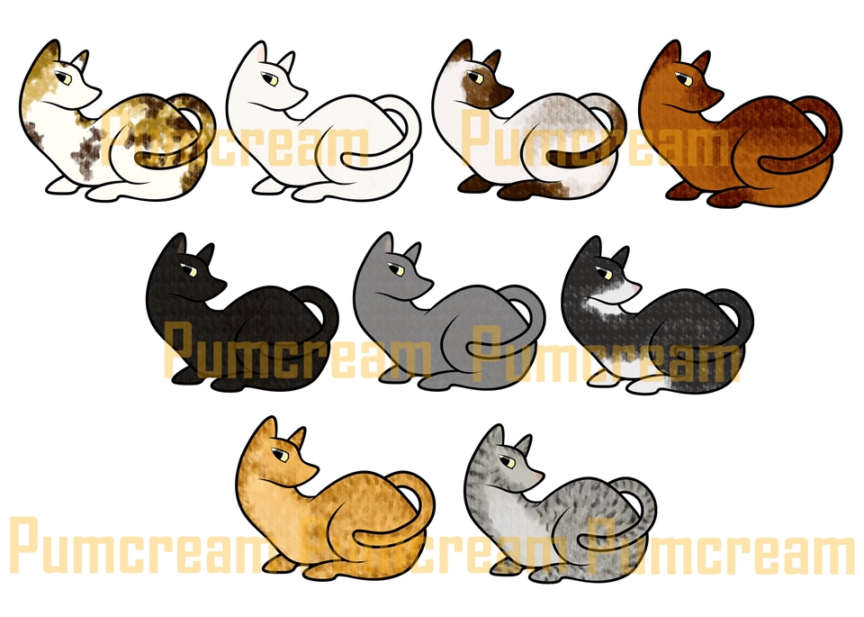 รับวาดรูปแมวการ์ตูน สีน้ำ ลายเส้น น่ารัก วาดภาพประกอบ สัตว์เลี้ยง