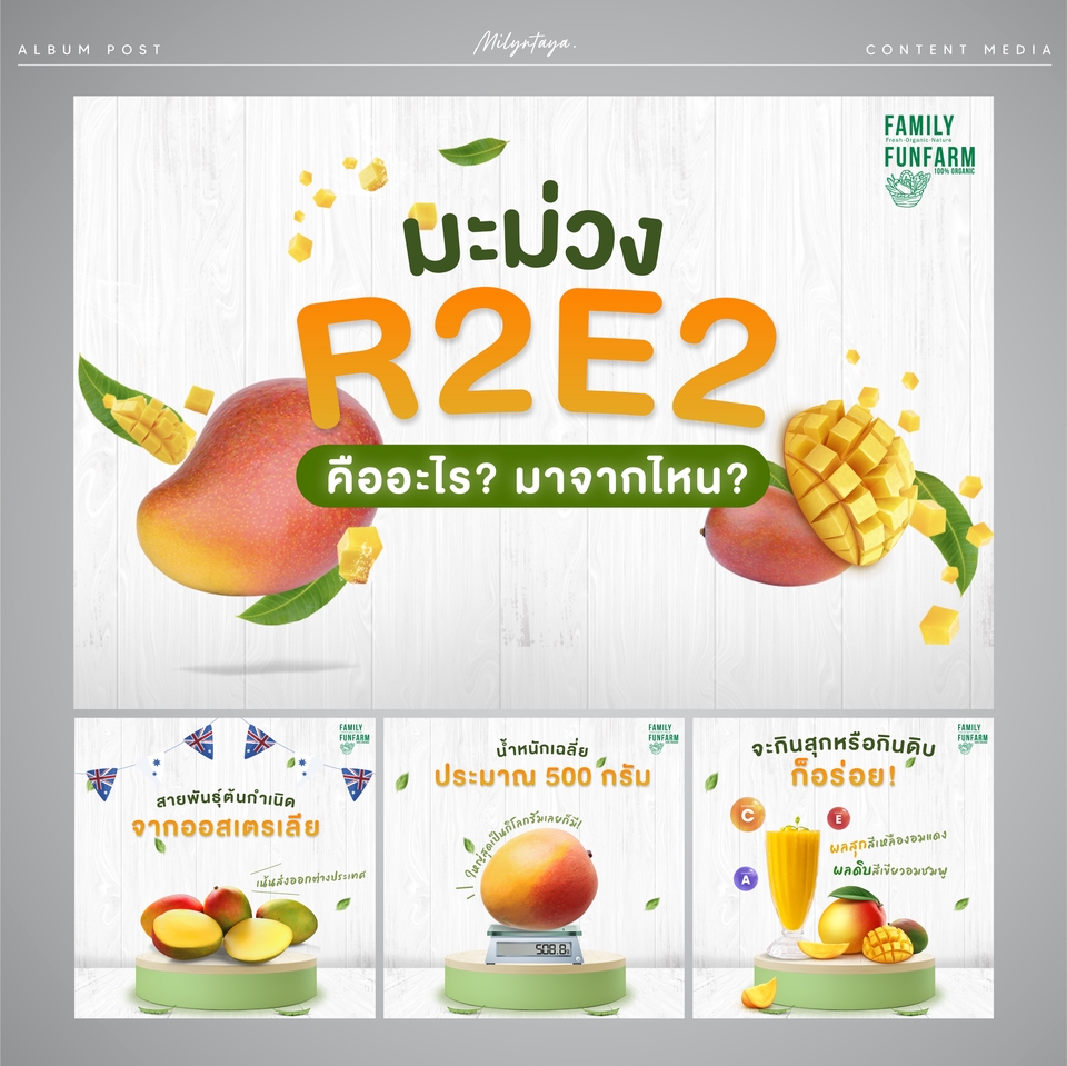 Banner โฆษณา - ออกแบบกราฟิก เน้นการสร้างอัตลัษณ์ | สื่อออนไลน์ Content, Ads, Cover Banner, LineOA, Poster, Motion - 8
