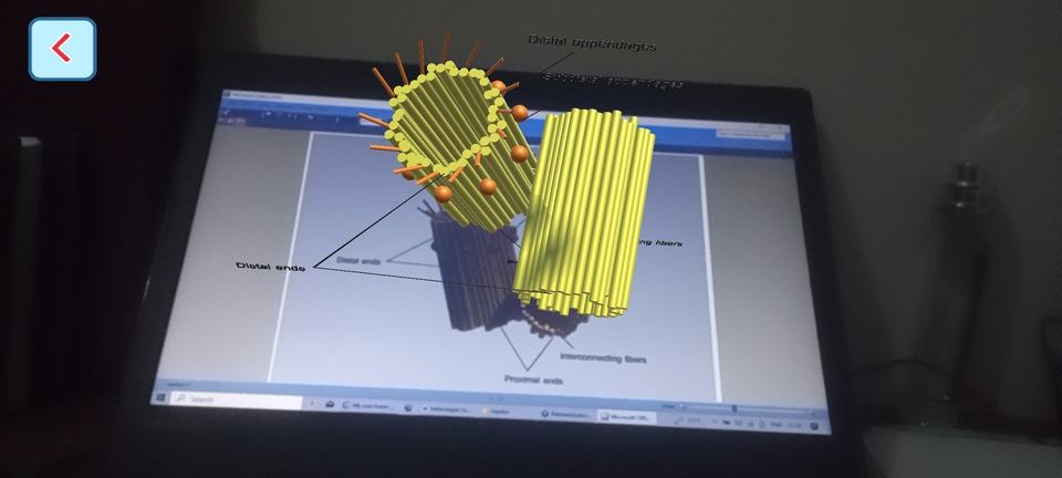 Aplikasi AR - Pembuatan Augmented Reality/Virtual Reality (AR/VR) Interaktif Menggunakan Unity 3D - 4