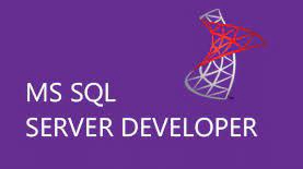 IT Solution และ Support - Database Programming (Oracle, SQL Server) and BI Tool - 2
