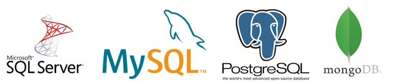 รับทำเว็บไซต์ ออกแบบเว็บขายของออนไลน์ SQL Server MySQL PostgreSQL MongoDB e-commerce เว็บไซต์สำเร็จรูป ราคาถูก
