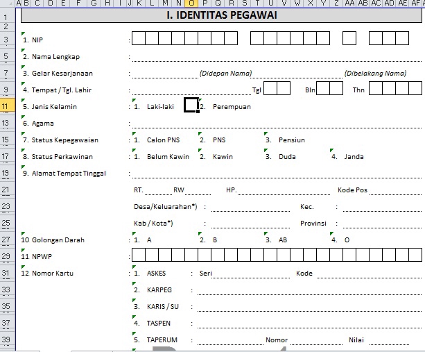 Entri Data - ENTRY DATA & PEMBUATAN FORM (Ms.Excel) 24 JAM KELAR - 4