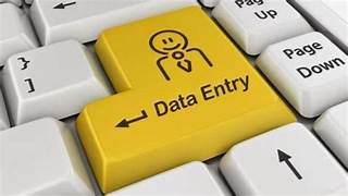 Entri Data - Data Entry, Virtual Assistant, Finance - 4